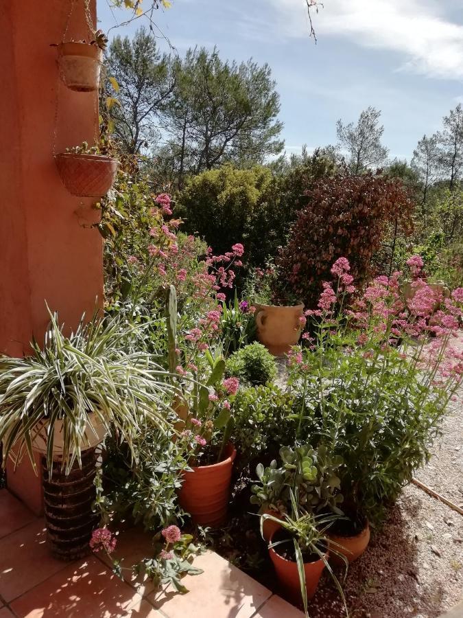 Chambre D'Hote Le Mas Des Romarins Les Arcs-sur-Argens Exteriör bild